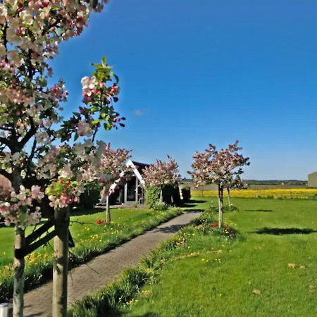 Hotelhuisje Warmenhuizen #D Екстер'єр фото